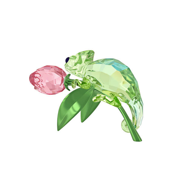 Idyllia Kameleon I Tulipan