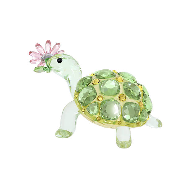 Idyllia Kornjača I Tratinčica