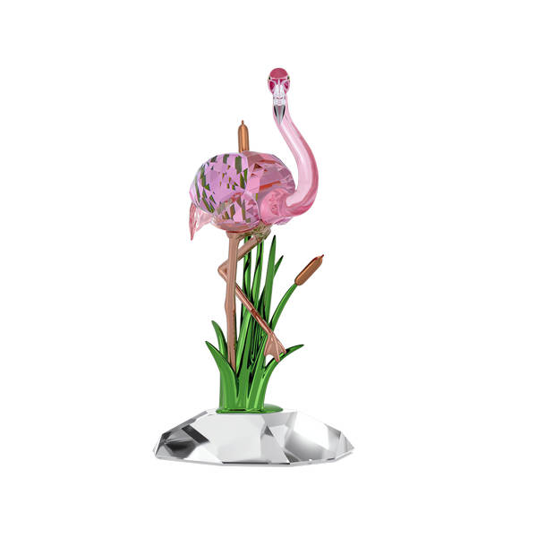 Idyllia Flamingo